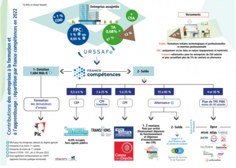 Infographie centreinffo financements formation 1 480x3421 1